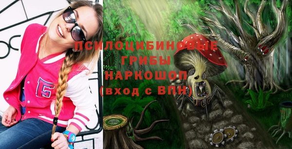 тгк Новодвинск