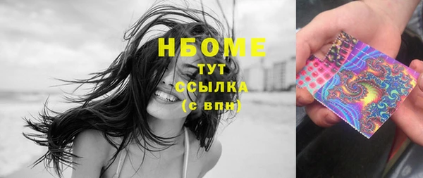 дживик Новозыбков