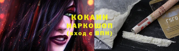 крисы Няндома