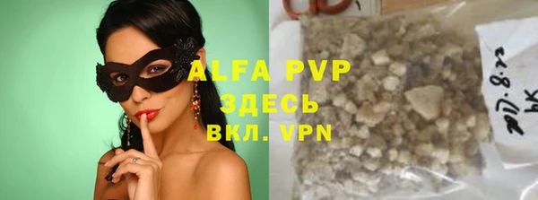 тгк Новодвинск