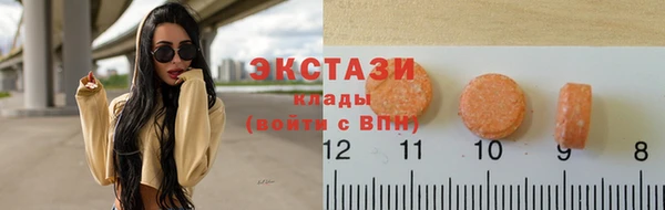 гашик Дубна