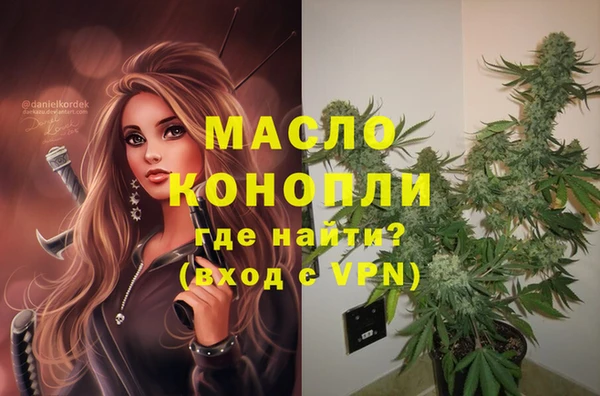 дживик Новозыбков