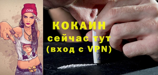 тгк Новодвинск