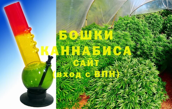 шишки Дрезна