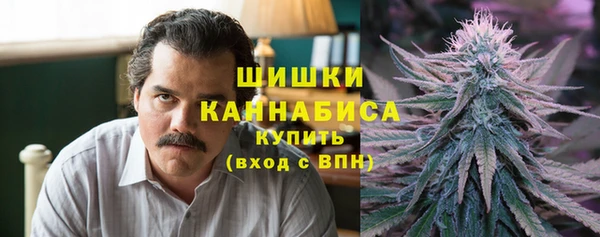 тгк Новодвинск