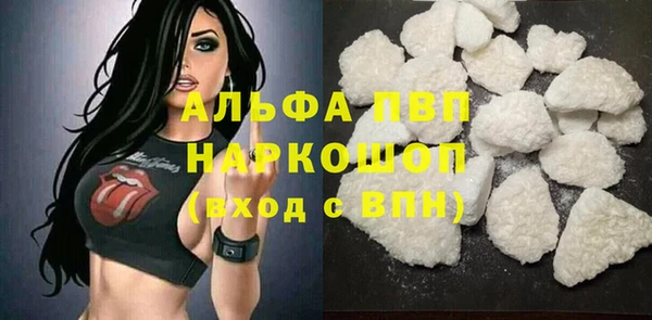 дживик Новозыбков