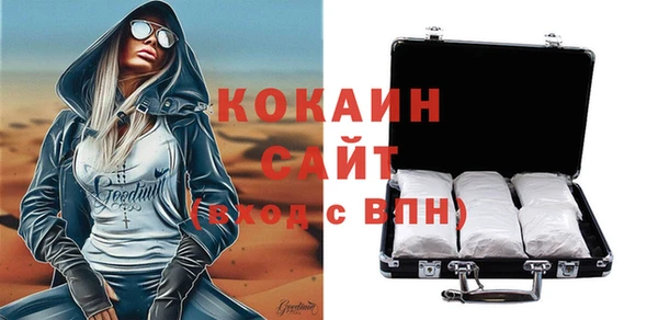 тгк Новодвинск